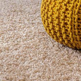 Carpet